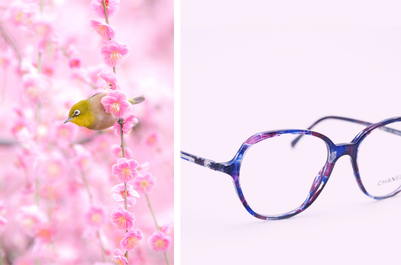 Chanel bril-2016-roze en blauw